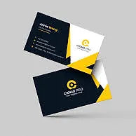 Business Cards 14pt (Profit Maximizer)